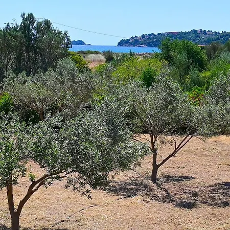 Salty Breeze Experience Vs Olive Flavor Sensation At Apartment Porto Heli